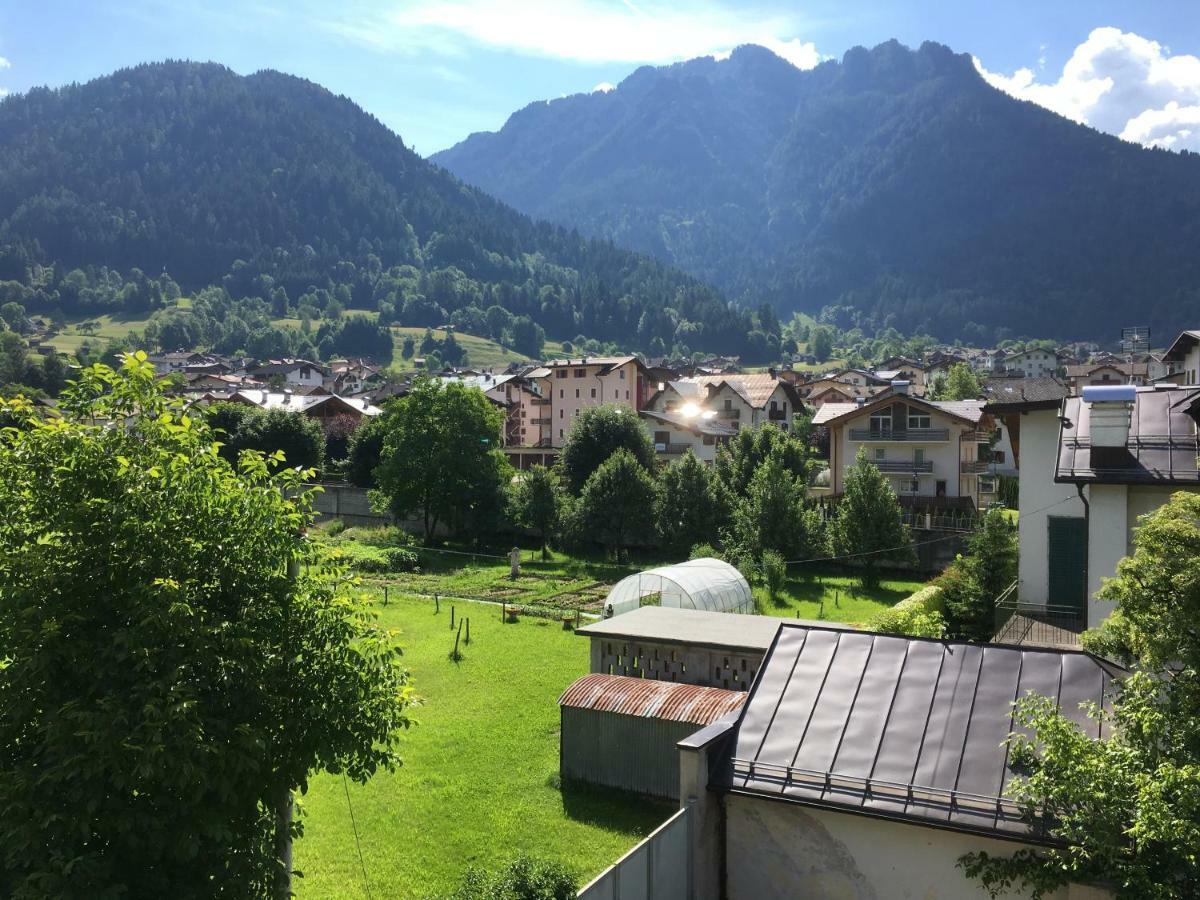 Apartament La Finestra Sulle Dolomiti - The Window To The Dolomites Fiera Di Primiero Zewnętrze zdjęcie